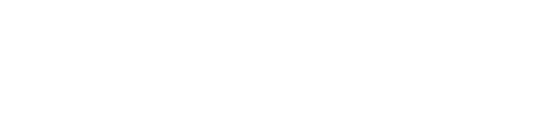 Motorola Solutions